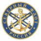 День Военно-Морского Флота — 30 июля.